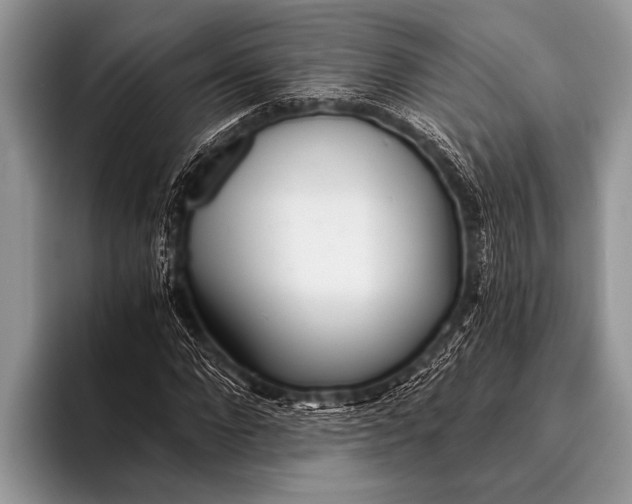 X0000096200872200802081538