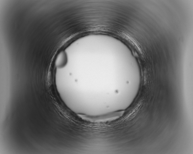 X0000096200876200802081538