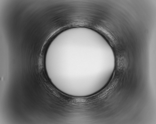 X0000096200878200802081538