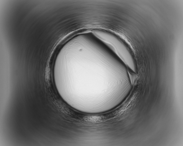 X0000096200879200802081538