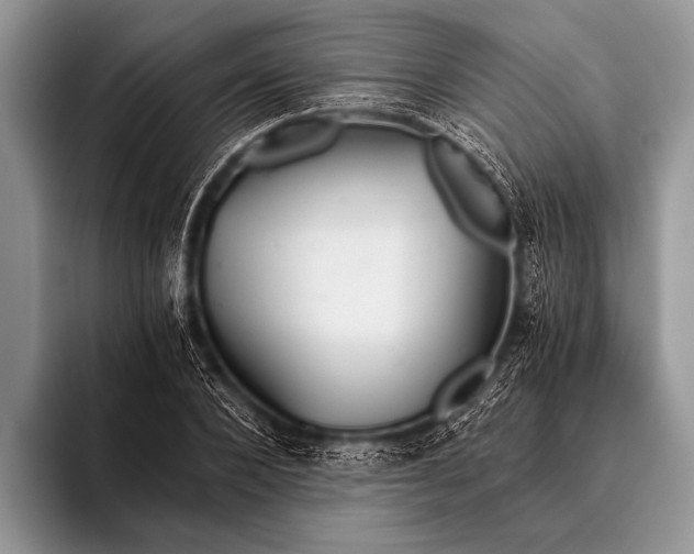 X0000096200880200802081538