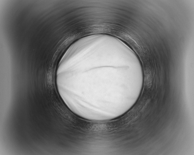 X0000096200882200802081538