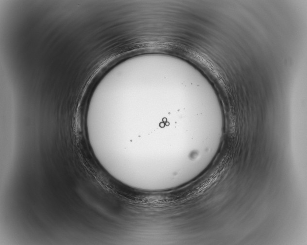 X0000096200883200802081538