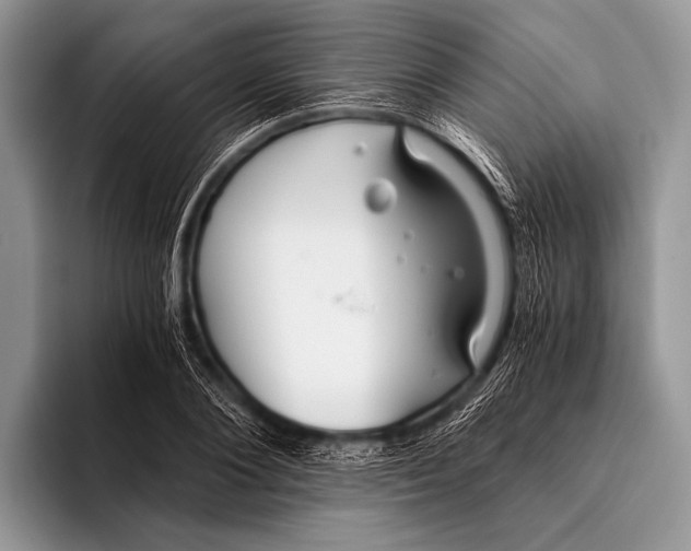 X0000096200884200802081538