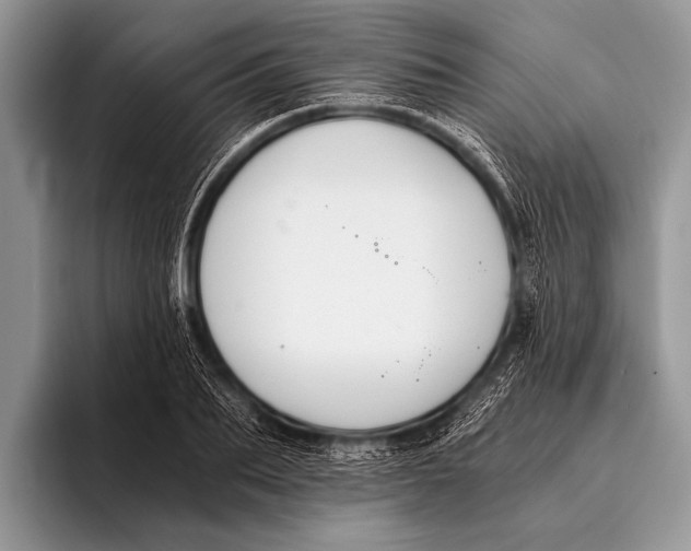 X0000096200887200802081538