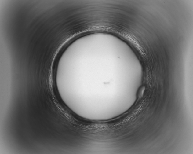 X0000096200888200802081538