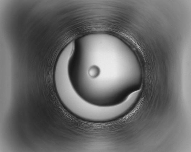 X0000096200889200802081538