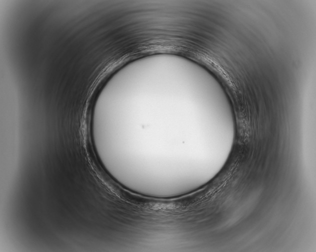 X0000096200890200802081538