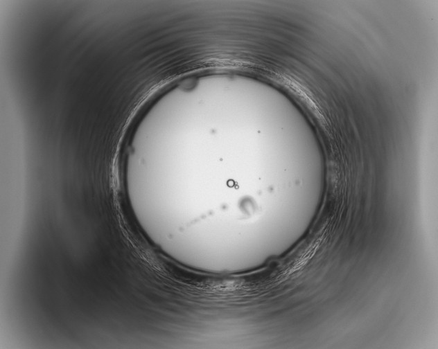 X0000096200891200802081538