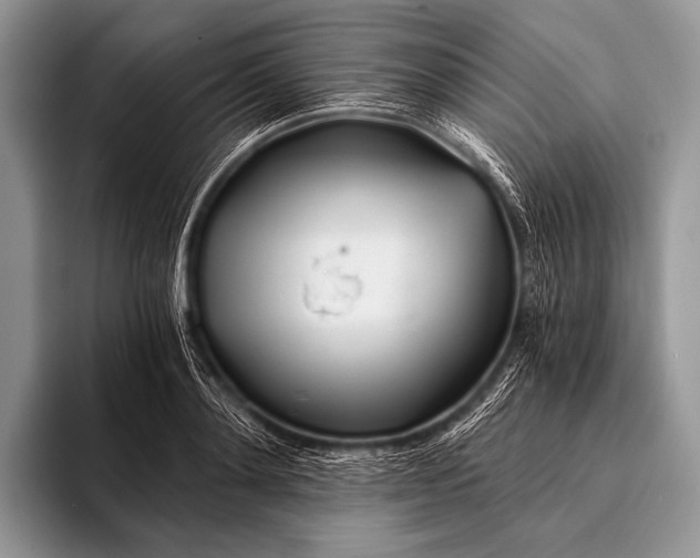 X0000096200892200802081538