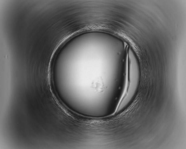 X0000096200894200802081538