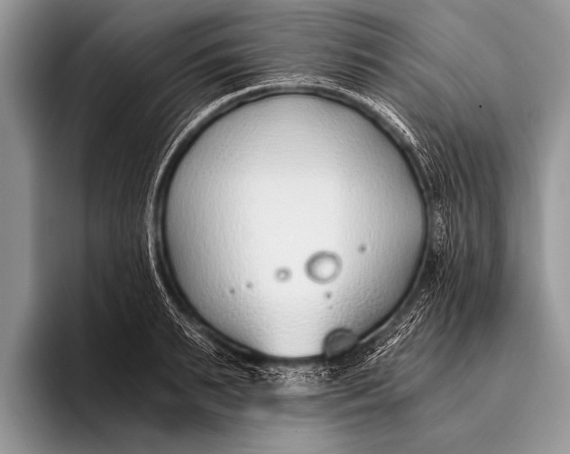 X0000096200895200802081538