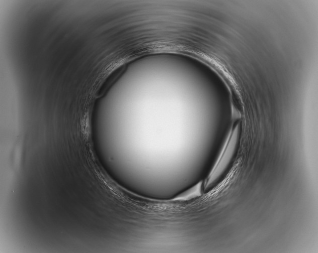 X0000096200897200802081538