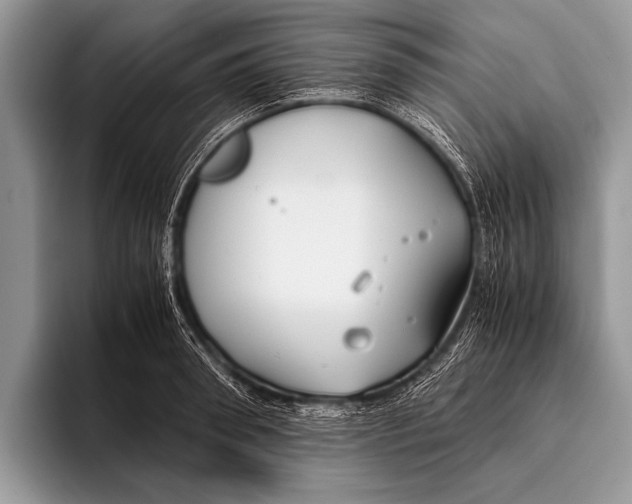 X0000096200898200802081538