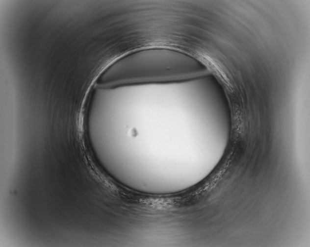 X0000096200900200802081538