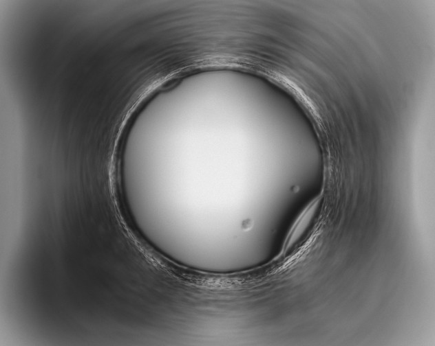 X0000096200901200802081538