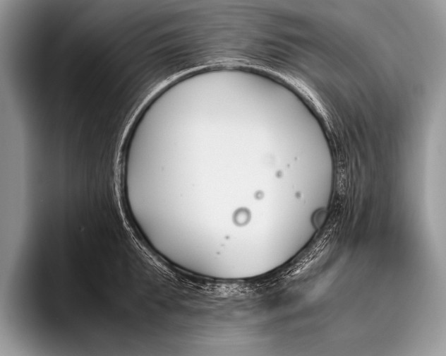 X0000096200903200802081538