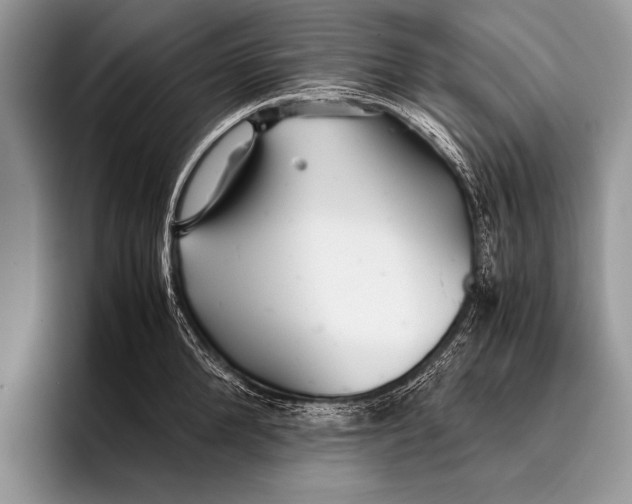 X0000096200904200802081538