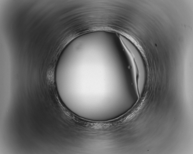 X0000096200905200802081538