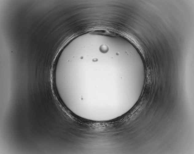 X0000096200906200802081538