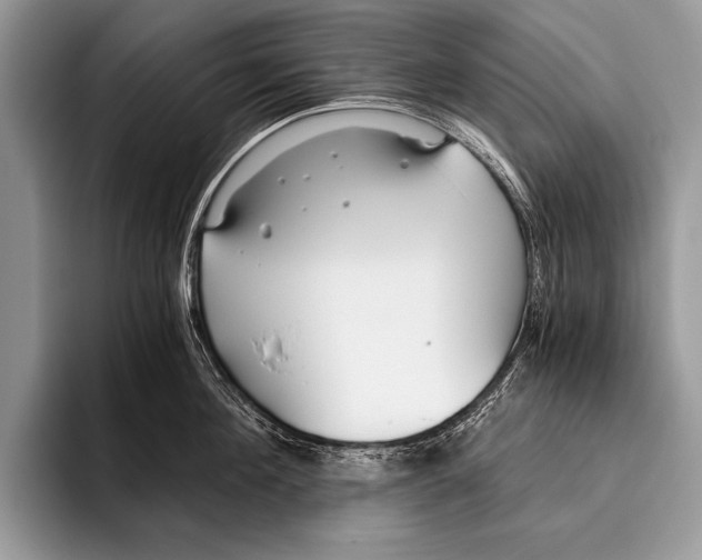 X0000096200908200802081538