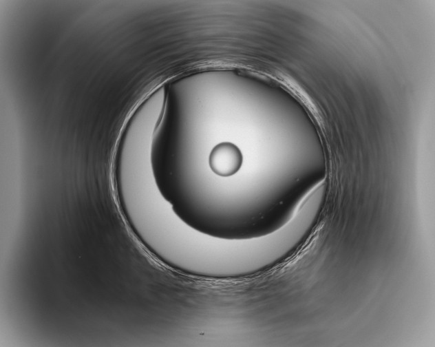 X0000096200909200802081537