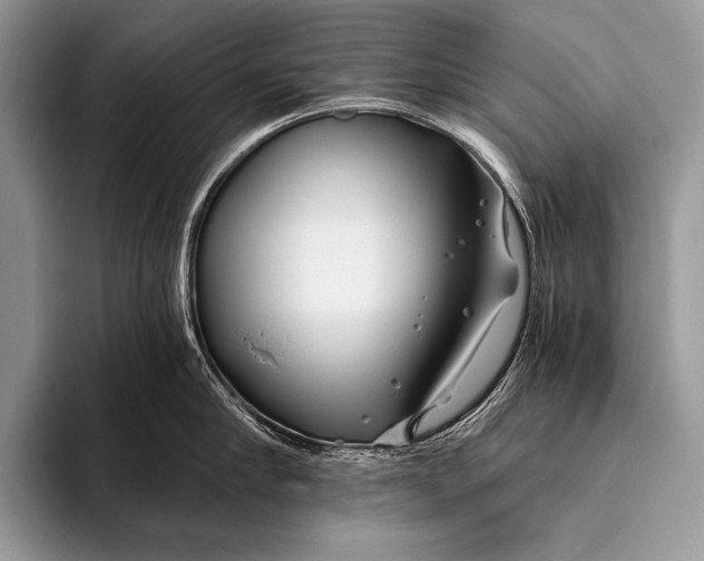 X0000096200910200802081537