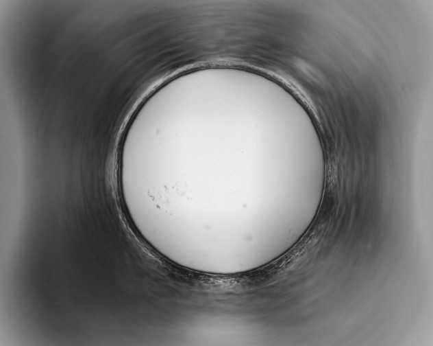 X0000096200911200802081537