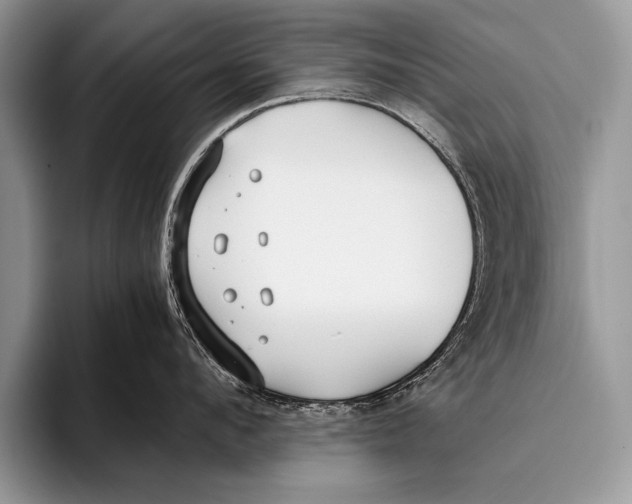 X0000096200912200802081537