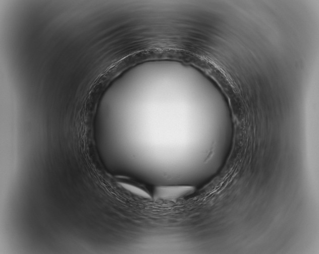 X0000096200919200802081537