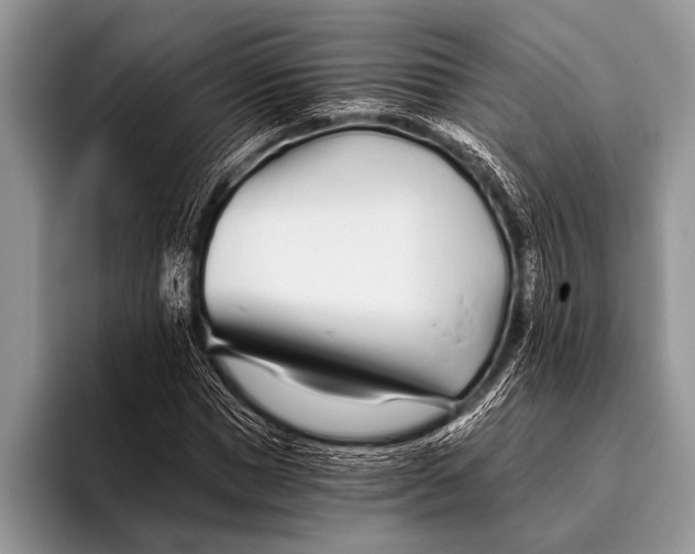 X0000096200921200802081537