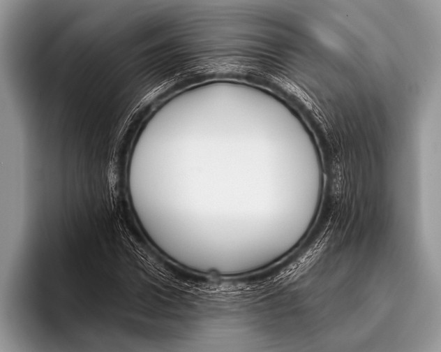 X0000096200922200802081537