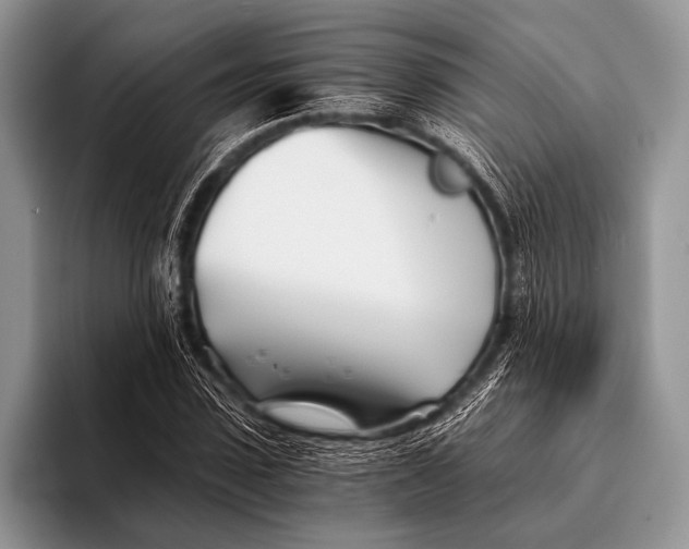 X0000096200923200802081537