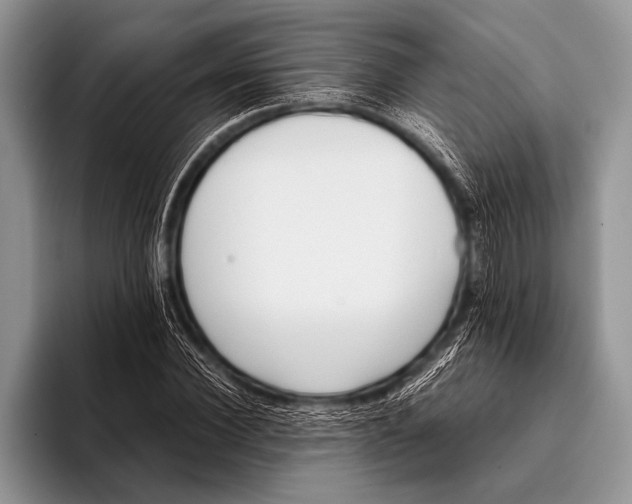 X0000096200924200802081537