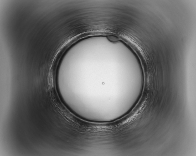 X0000096200925200802081537