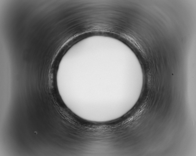 X0000096200926200802081537