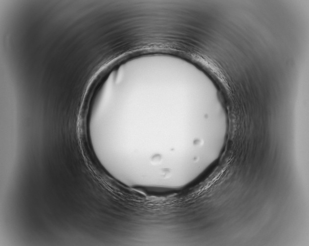 X0000096200928200802081537