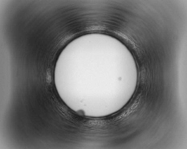 X0000096200929200802081537