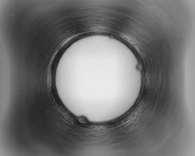 X0000096200931200802081537