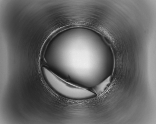 X0000096200932200802081537