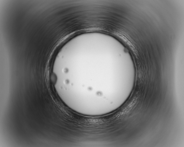 X0000096200933200802081537