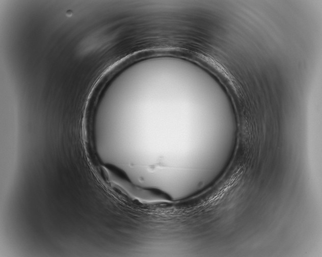 X0000096200935200802081537