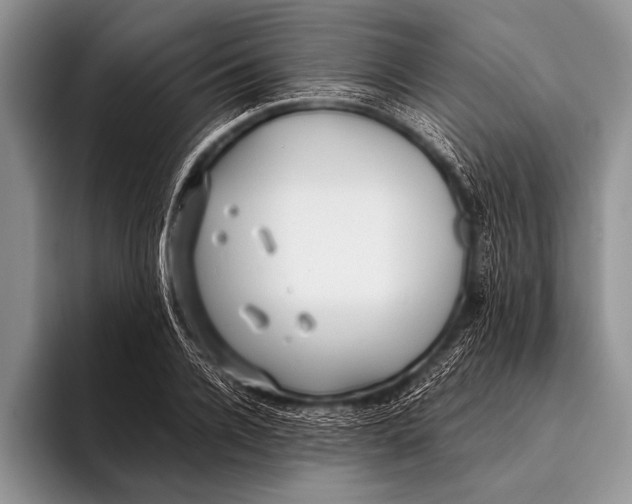 X0000096200936200802081537