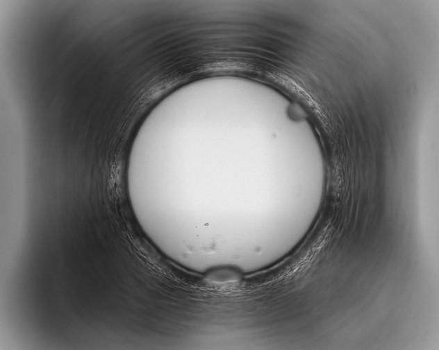 X0000096200937200802081537