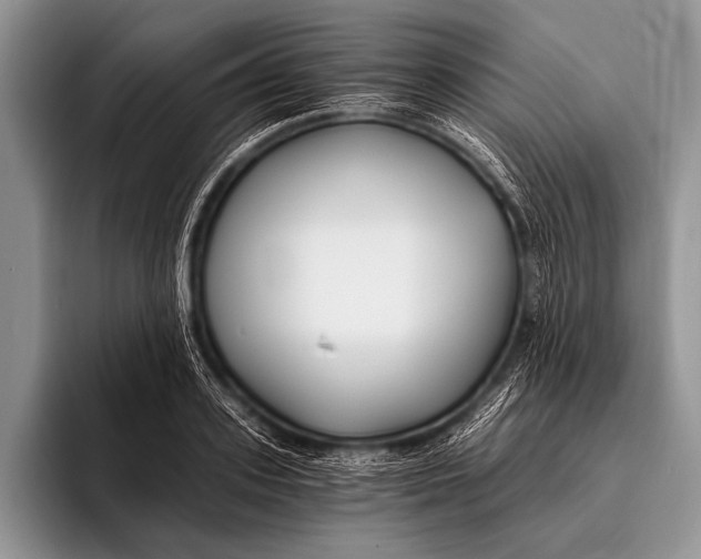 X0000096200939200802081537