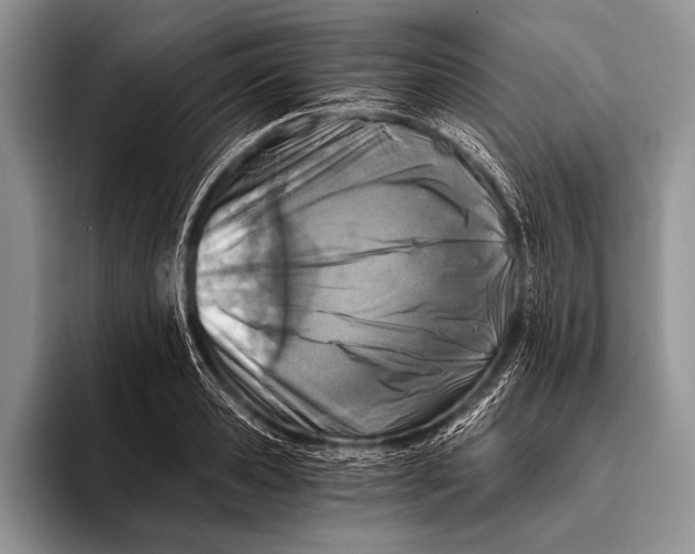 X0000096200941200802081537