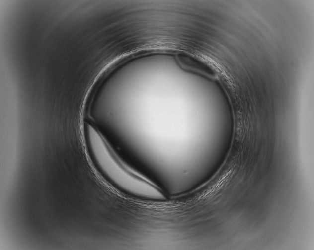 X0000096200942200802081537