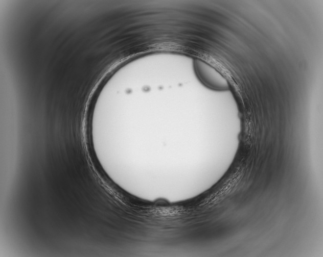 X0000096200947200802081537