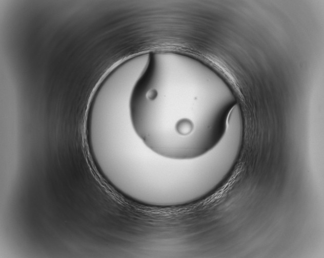 X0000096200948200802081537