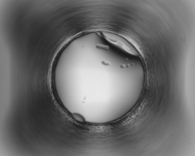 X0000096200949200802081537